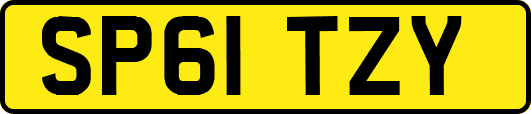SP61TZY