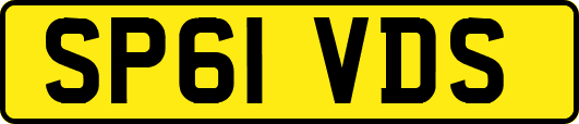 SP61VDS