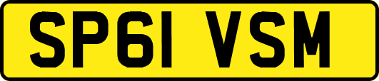 SP61VSM