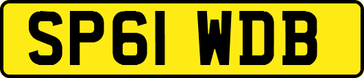 SP61WDB