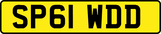 SP61WDD