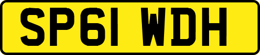 SP61WDH