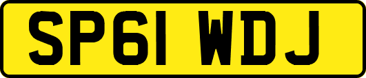 SP61WDJ