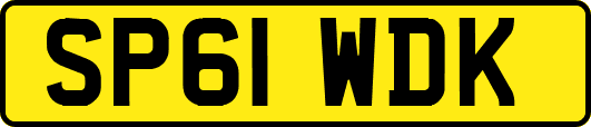 SP61WDK