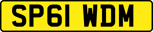 SP61WDM