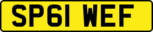 SP61WEF