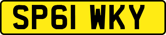 SP61WKY