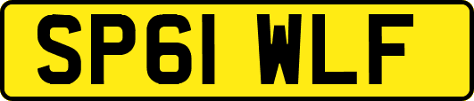 SP61WLF