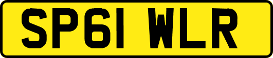SP61WLR