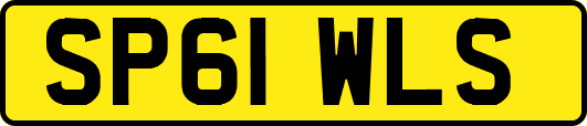 SP61WLS