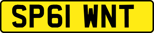 SP61WNT