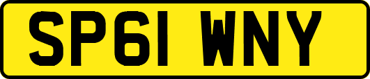 SP61WNY