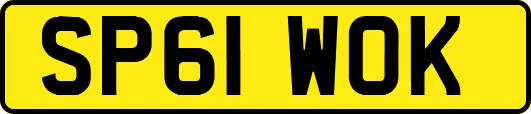 SP61WOK