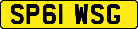SP61WSG