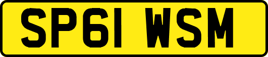 SP61WSM