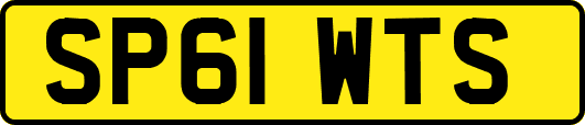 SP61WTS