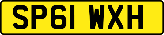 SP61WXH