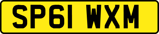 SP61WXM