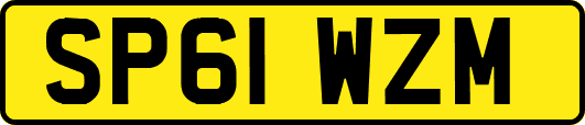 SP61WZM