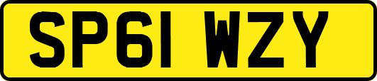 SP61WZY