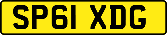 SP61XDG