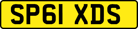 SP61XDS