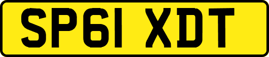 SP61XDT