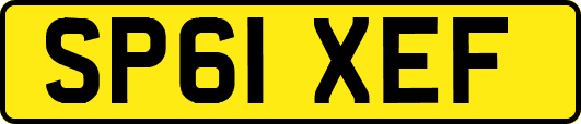 SP61XEF