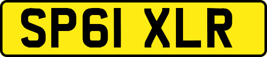 SP61XLR