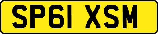 SP61XSM
