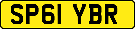 SP61YBR