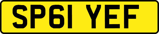 SP61YEF