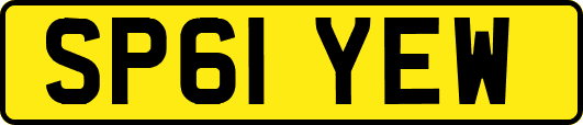 SP61YEW