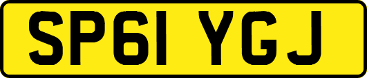 SP61YGJ