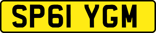 SP61YGM