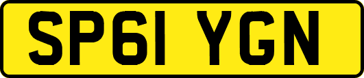 SP61YGN