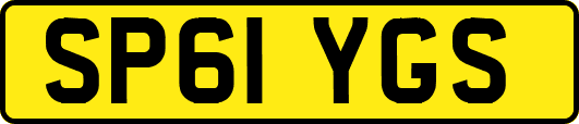 SP61YGS