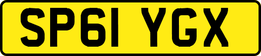 SP61YGX