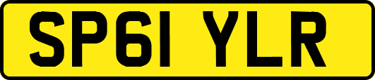 SP61YLR
