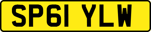 SP61YLW