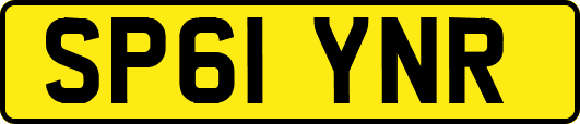 SP61YNR