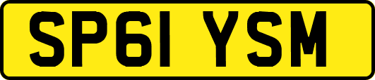 SP61YSM