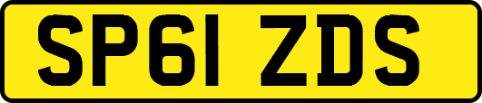 SP61ZDS