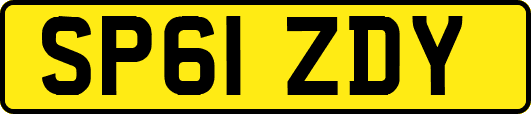 SP61ZDY