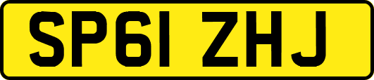 SP61ZHJ
