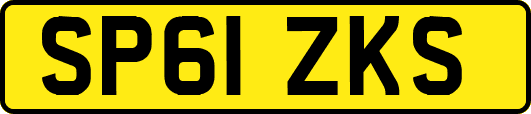 SP61ZKS