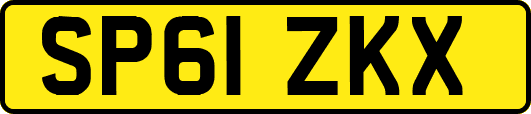 SP61ZKX