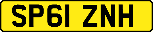 SP61ZNH