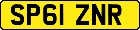 SP61ZNR