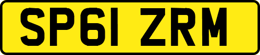 SP61ZRM